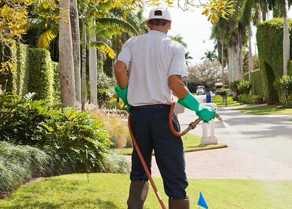 About Clairton PA Pest Control Pros